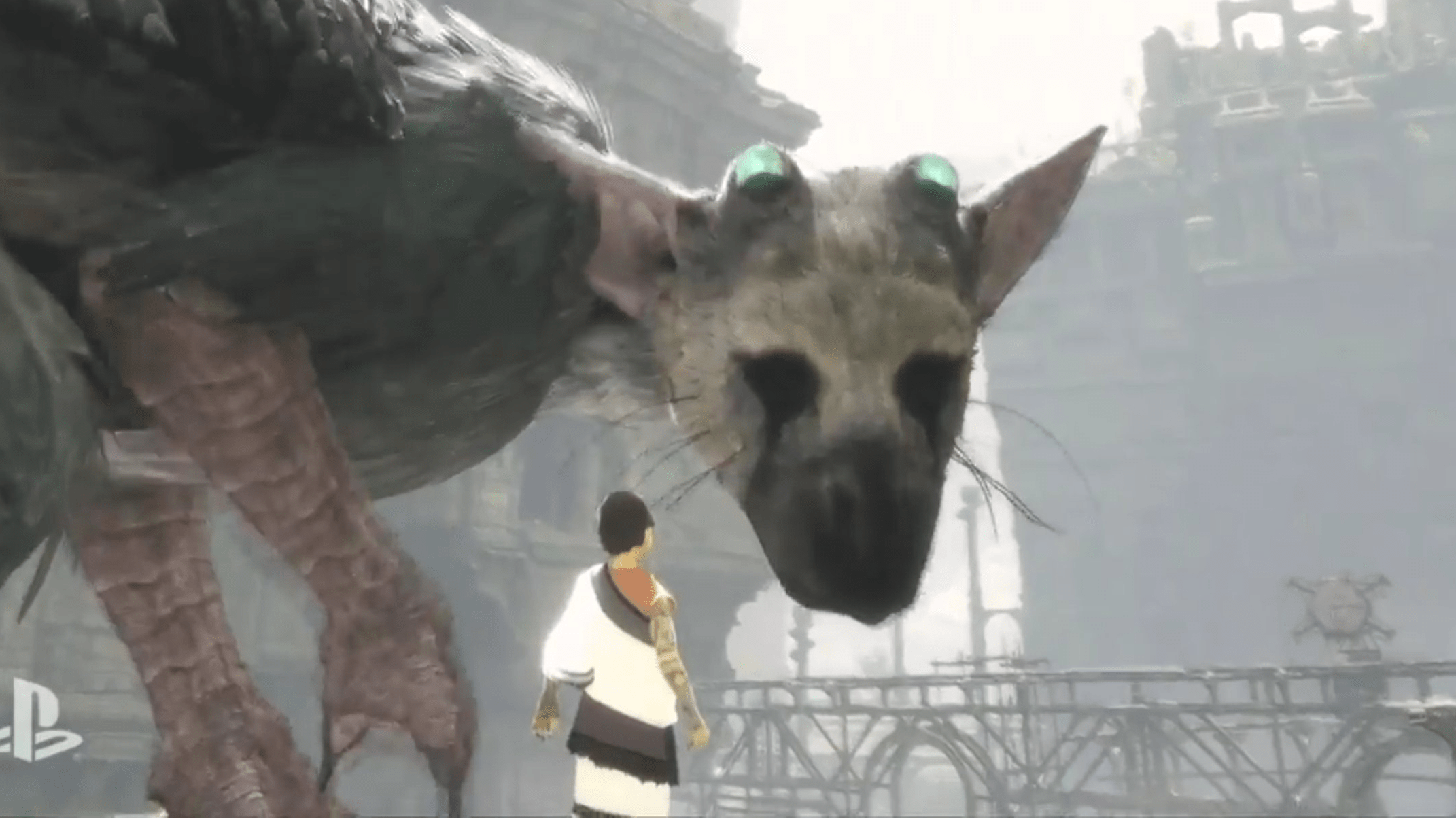 Zirtual Ceo Maren Kate Donovan Explains What Happened