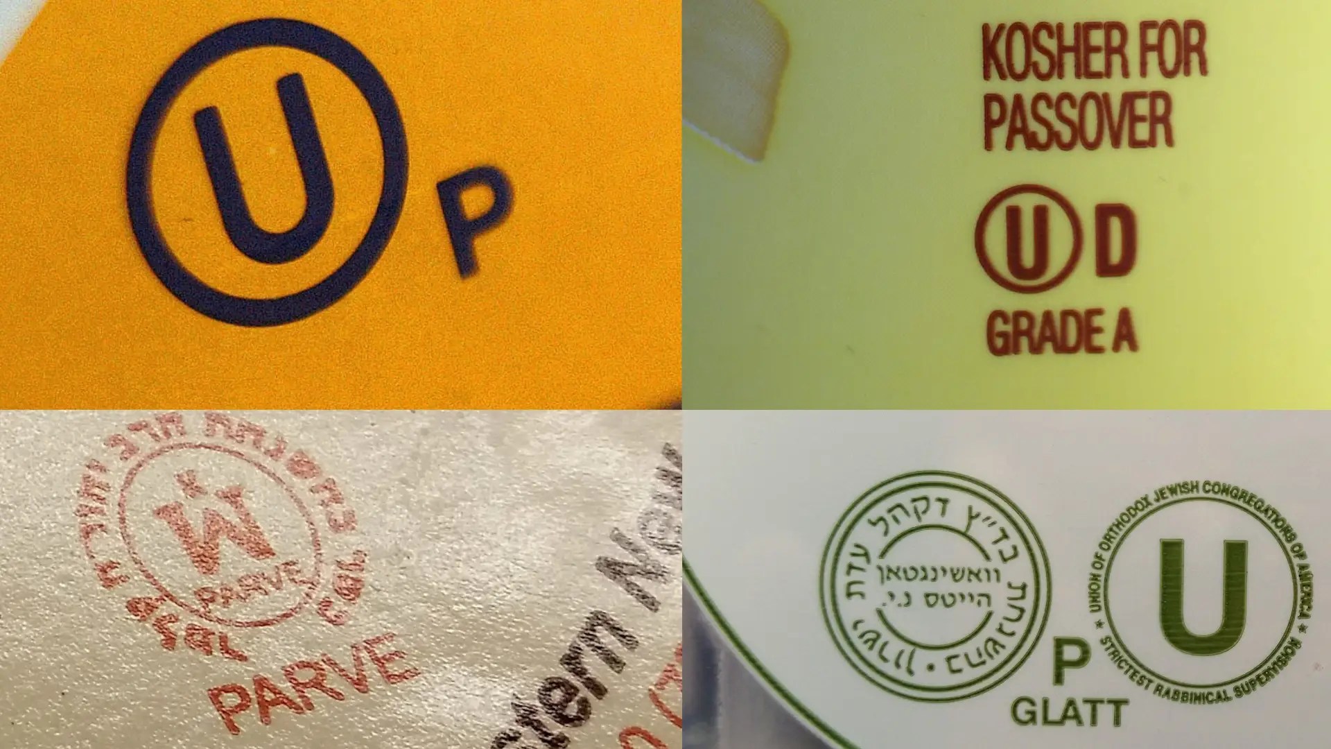 Fda Approves Gmo Salmon Business Insider