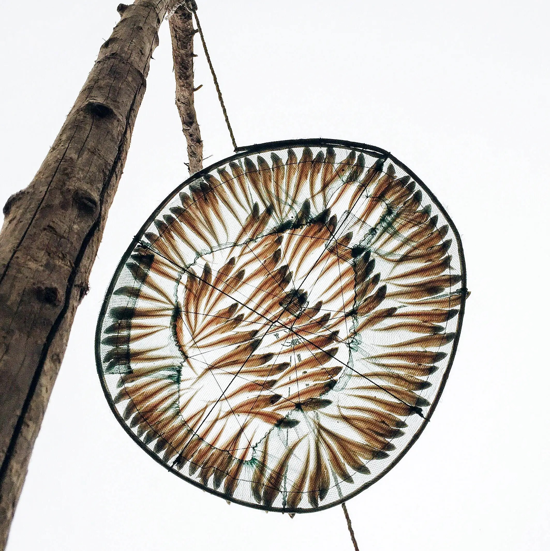 Iling Wu Ippawards Iphone Photography Awards - Download Ultra HD Colorful Background | Full HD