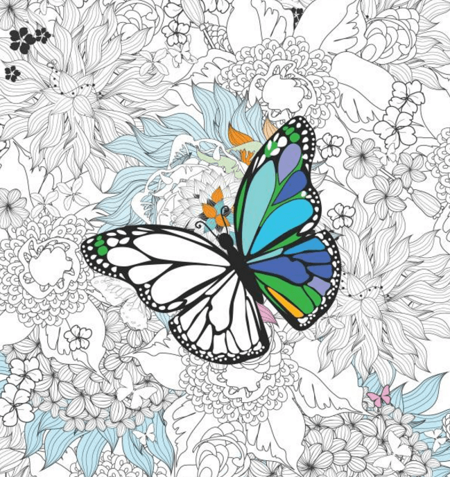 The Best Adult Coloring Books For Under 10 You Can Get On Amazon - Premium Nature Design Gallery - Desktop