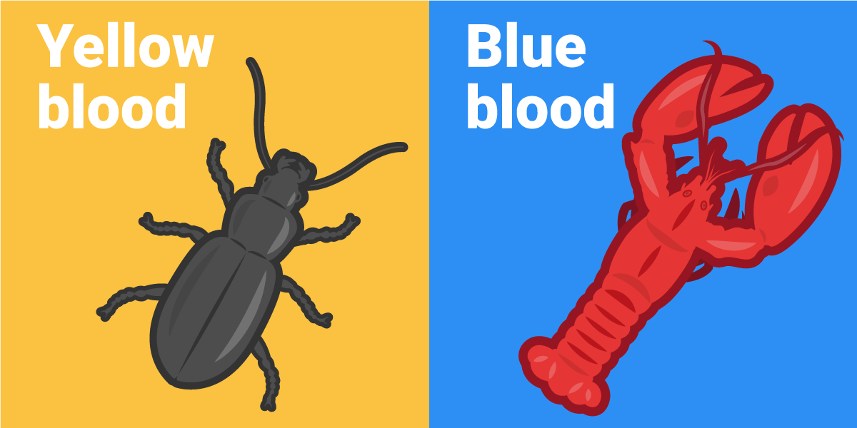 Dylan Roach Business Insider - City Images - Gorgeous HD Collection