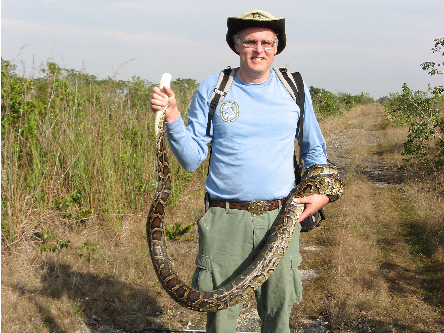 Inside Florida S Second Python Challenge Business Insider - Gradient Designs - Beautiful 4K Collection