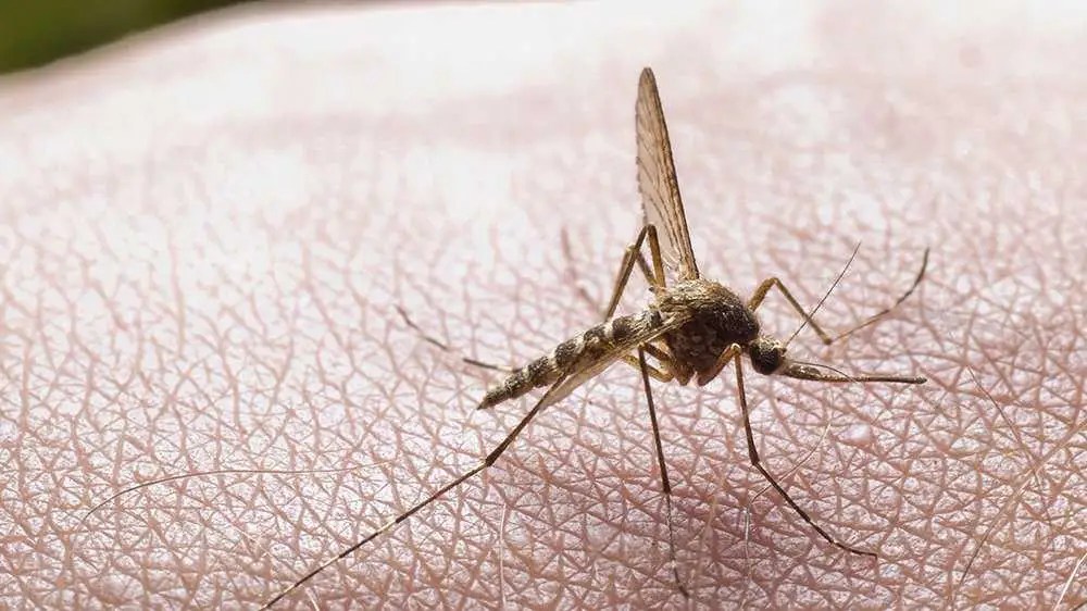 The Culture Shock Americans In Europe Are Obsessed With Explained