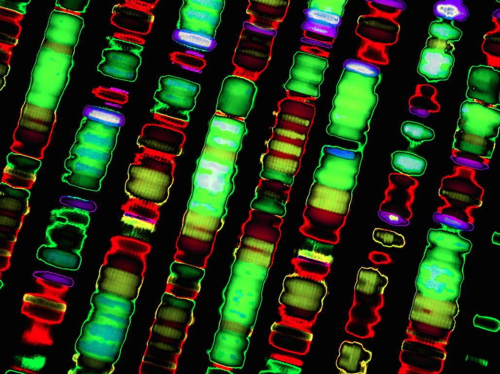 Google Projects That Will Change Lives - Minimal Textures - Professional Ultra HD Collection