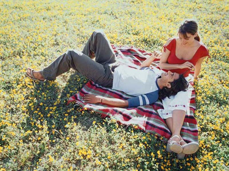 6 Fun Spring Date Ideas - Ocean Illustration Collection - High Resolution Quality