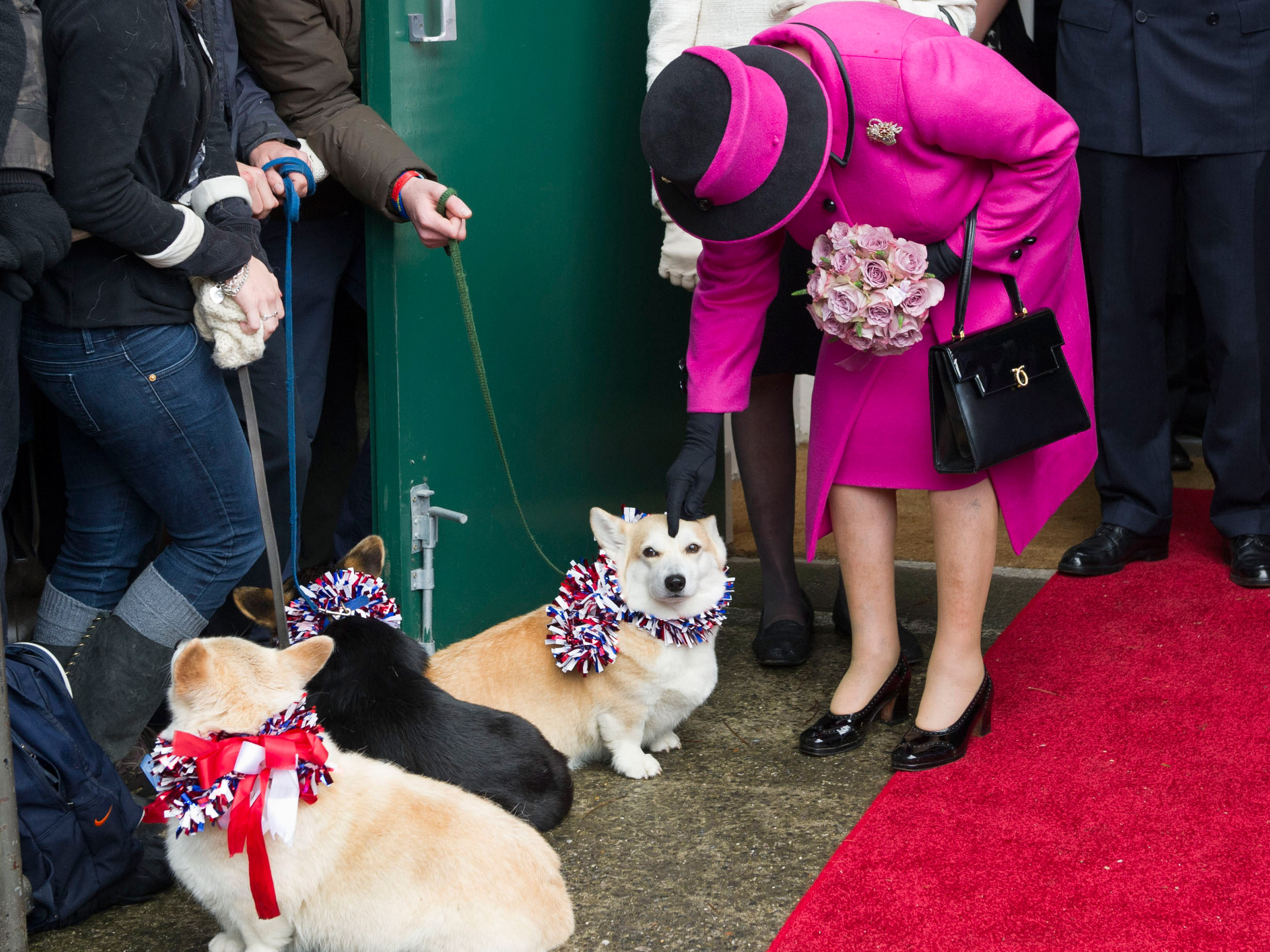 Photos Of Queen Elizabeth Ii With Her Royal Corgis Insider