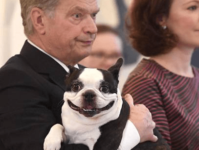 Freeadd a verified certificate for $29 usd receive an i. World Leaders And Their Dogs