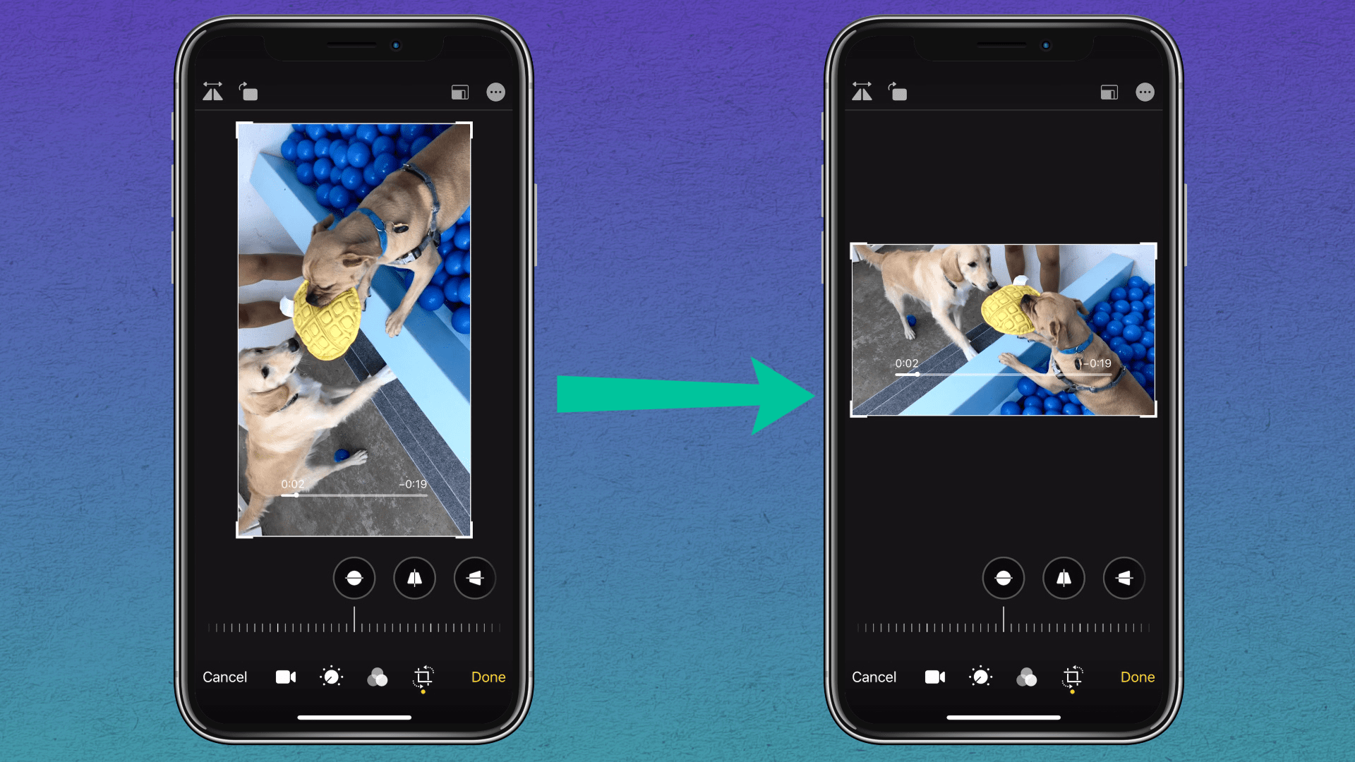 Dark Mode Apple Community - Premium Geometric Photo Gallery - High Resolution