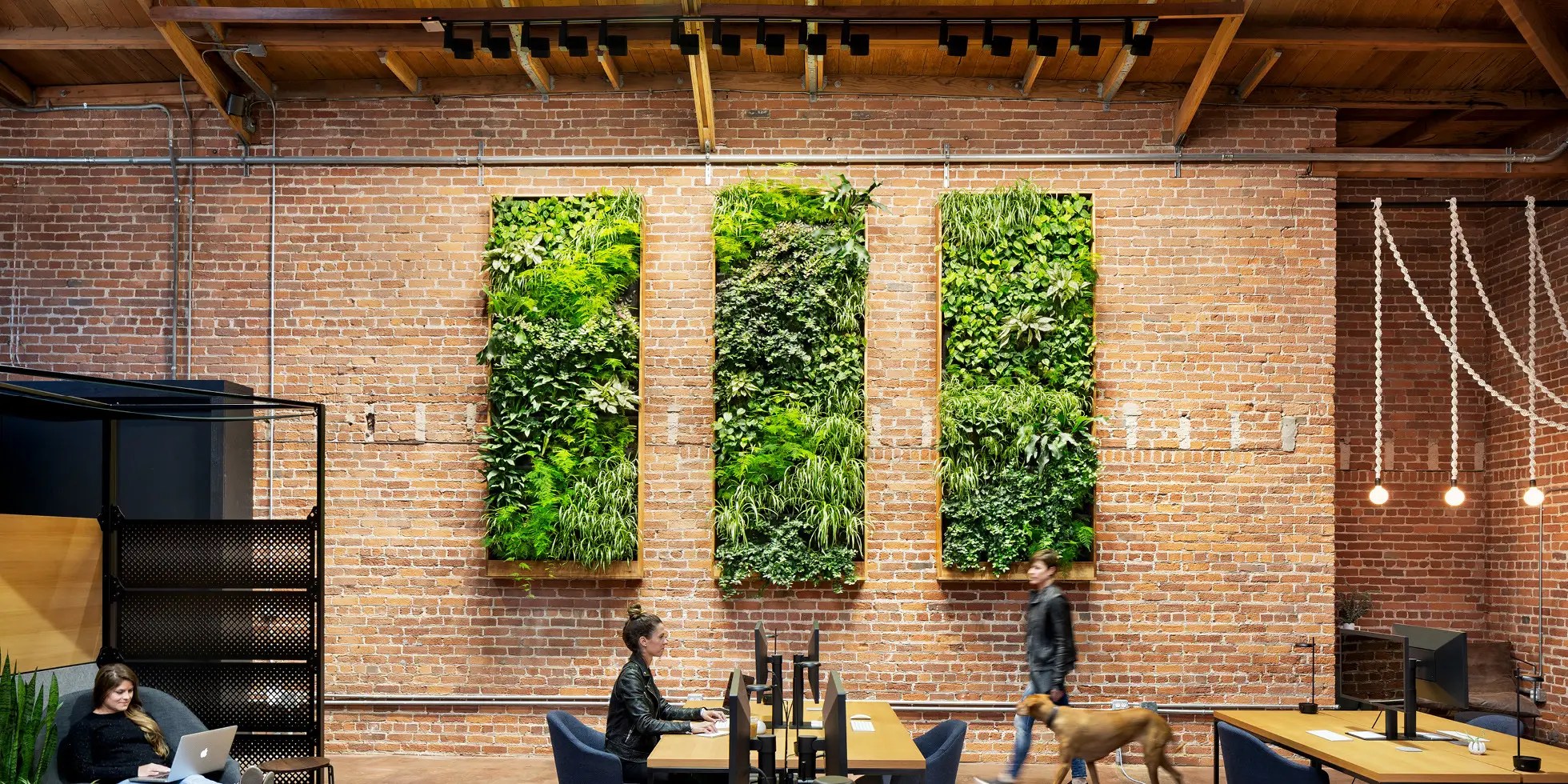 Modern open office design encourages employee interaction and spontaneous conversation, but often leads to noise and distraction. Slack Ebay Amazon Installing Plant Walls To Attract Millennials