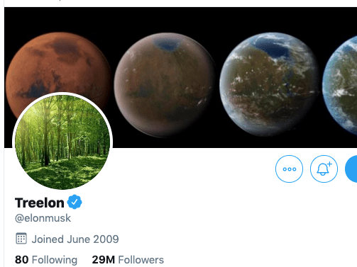 Elon Musk Donates 1 Million To Teamtrees Tree Planting Cause Intelligent Living