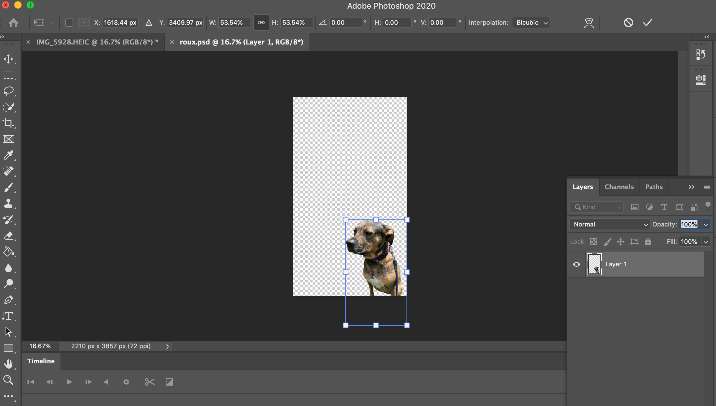 Choose the perfect design create a beautiful blog that fits your style. How To Resize A Layer In Photoshop In 4 Simple Steps