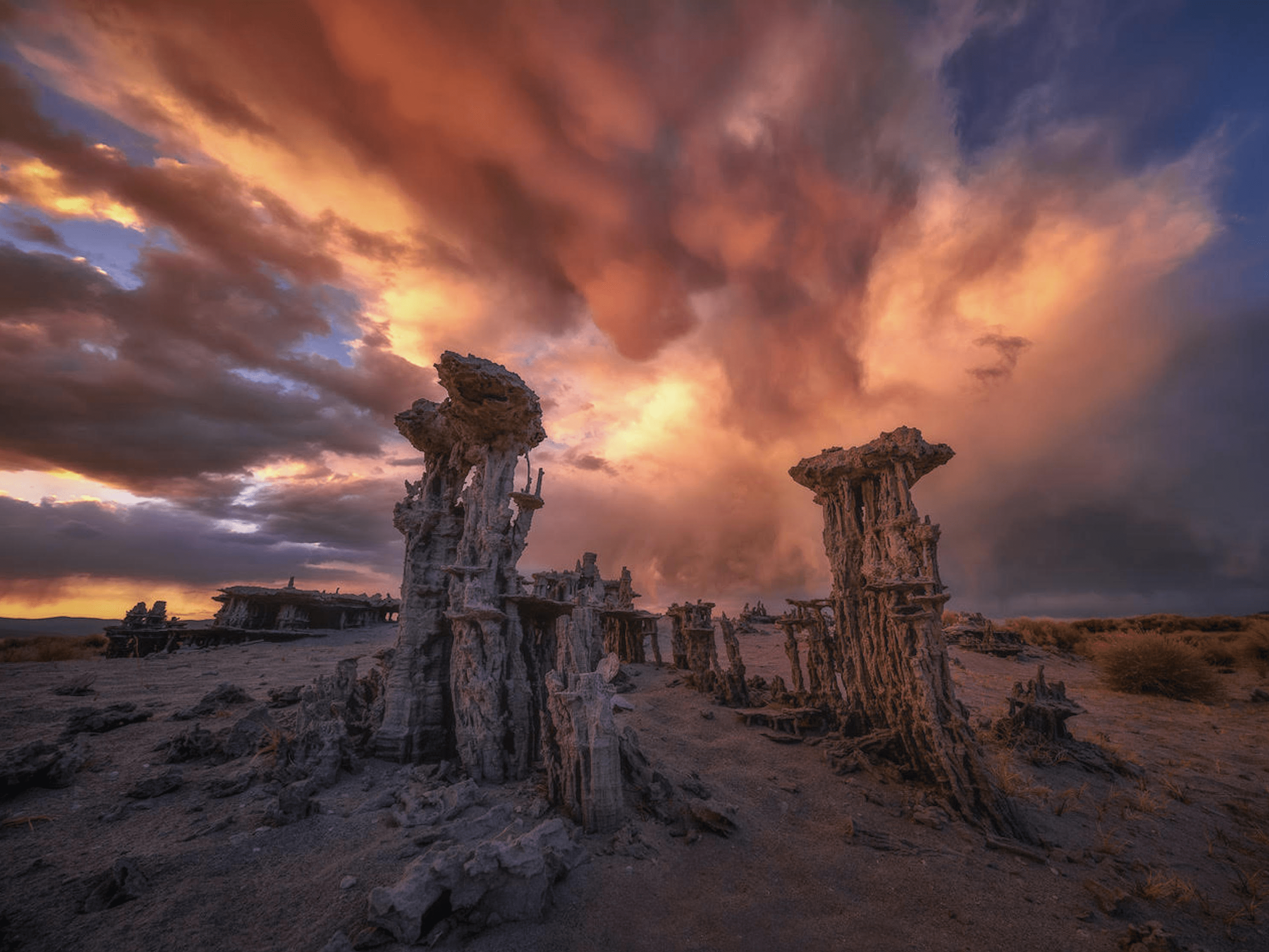 2019 Flickr - Beautiful Vintage Photo - Ultra HD