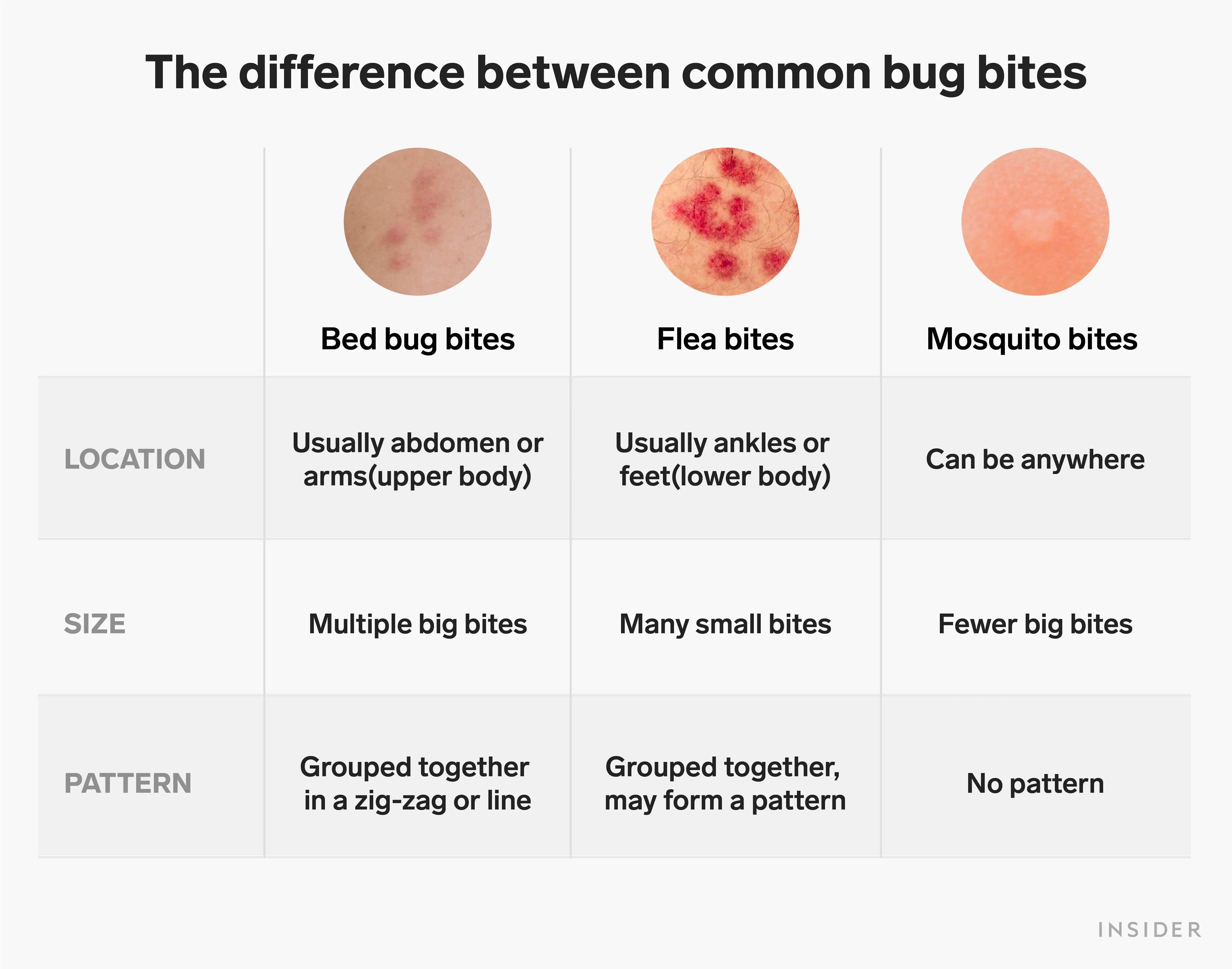 Bed Bug Bites Vs Mosquito What S The Difference Heathe - Best Light Wallpapers in HD