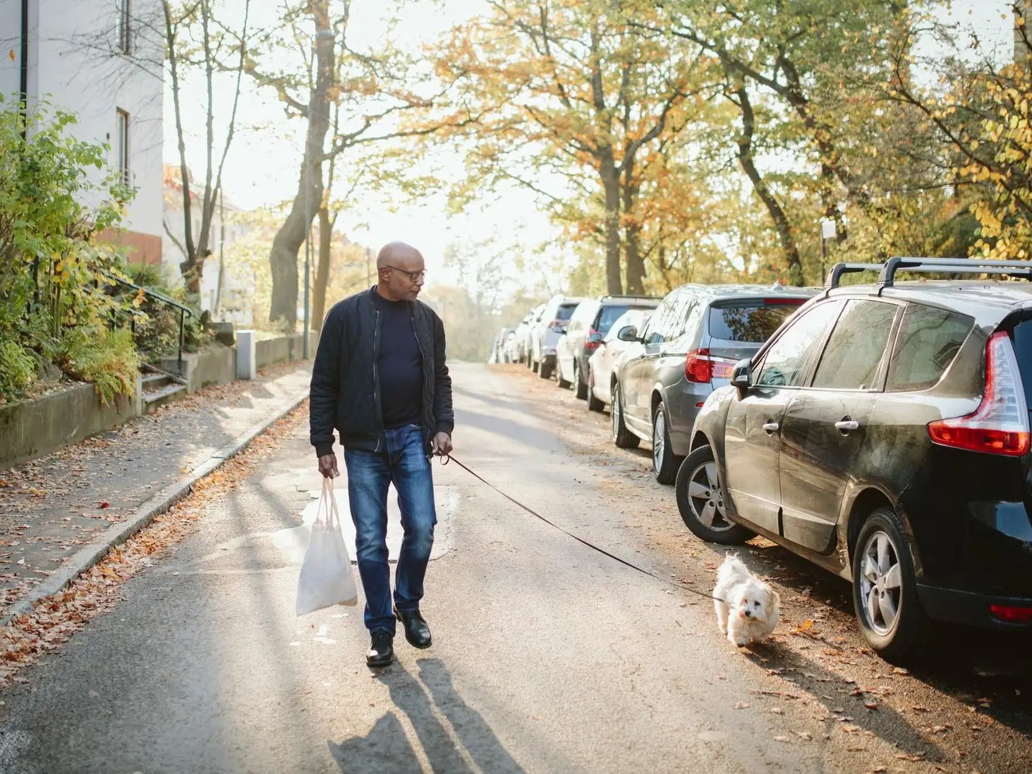 Save time when you automate your car and home insurance renewal quotes. What Is The Average Cost Of Pet Insurance Depends On Your Pet