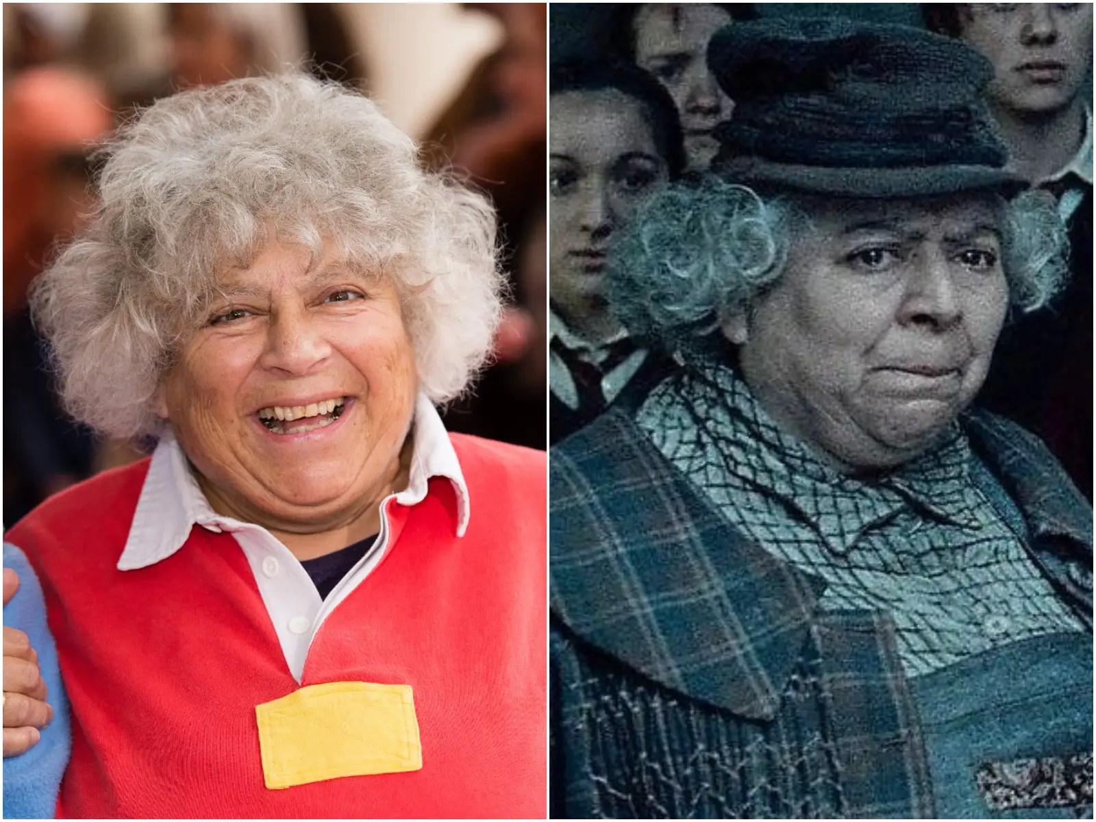 Find out what makes it unique and where you can see it. Professor Sprout Actor In Harry Potter Says She Isn T A Fan