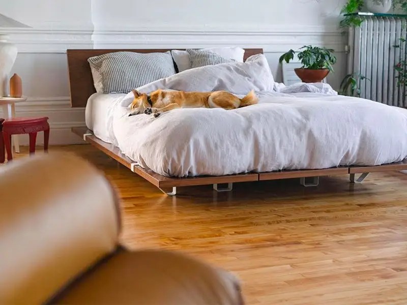 The Best Bed Frames In 2020 Business Insider