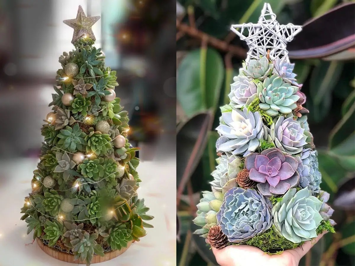 How To Make A Beautiful Diy Mini Succulent Christmas Tree First For Women