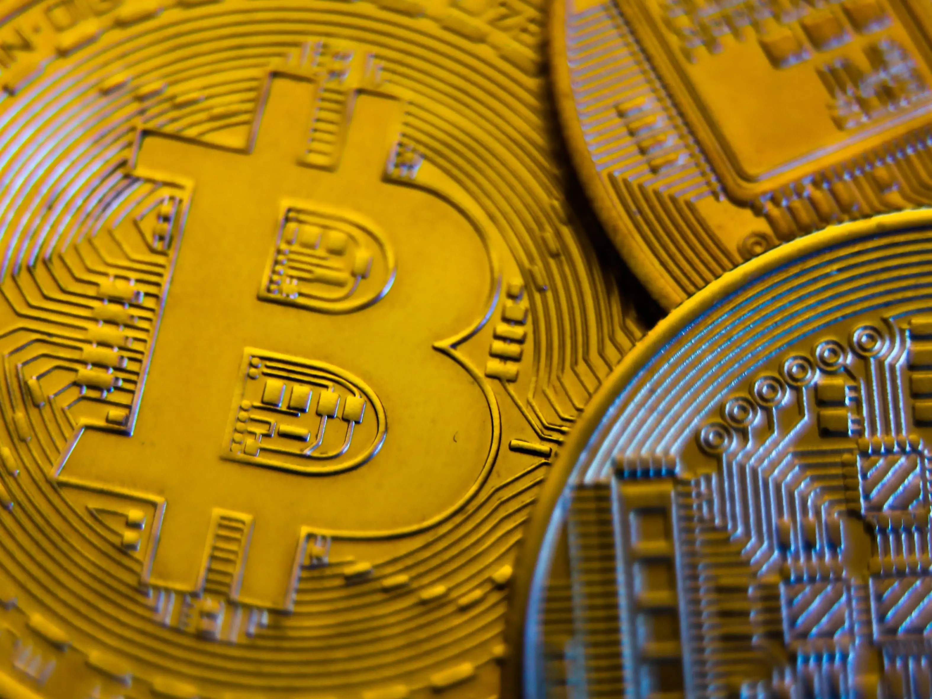 Our top crypto exchange picks for beginners, canadian crypto exchange. A Canadian Bitcoin Fund Just Became Middle East S First Crypto Listing