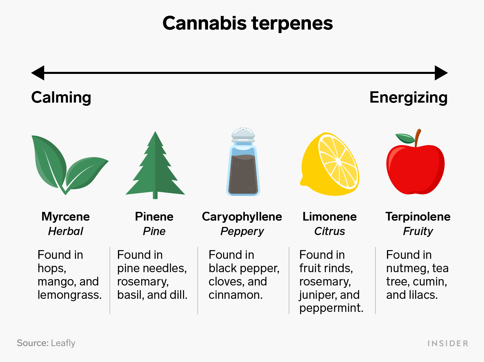 15 Cannabis Terpenes Explained Pdf - Full HD Dark Images for Desktop