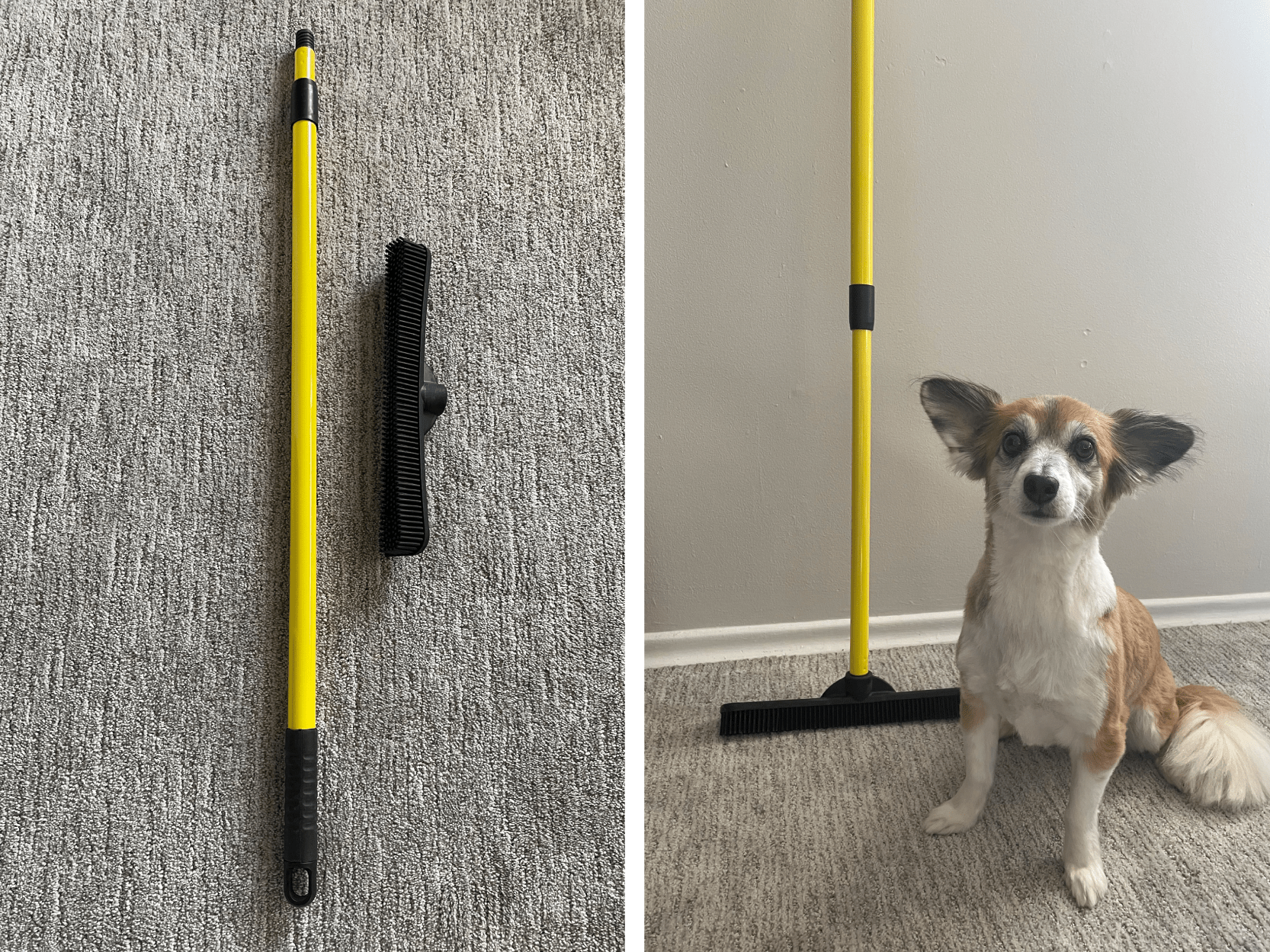 furemover broom review cheap effective pet hair remover on how to get dog hair out of carpet without vacuum
