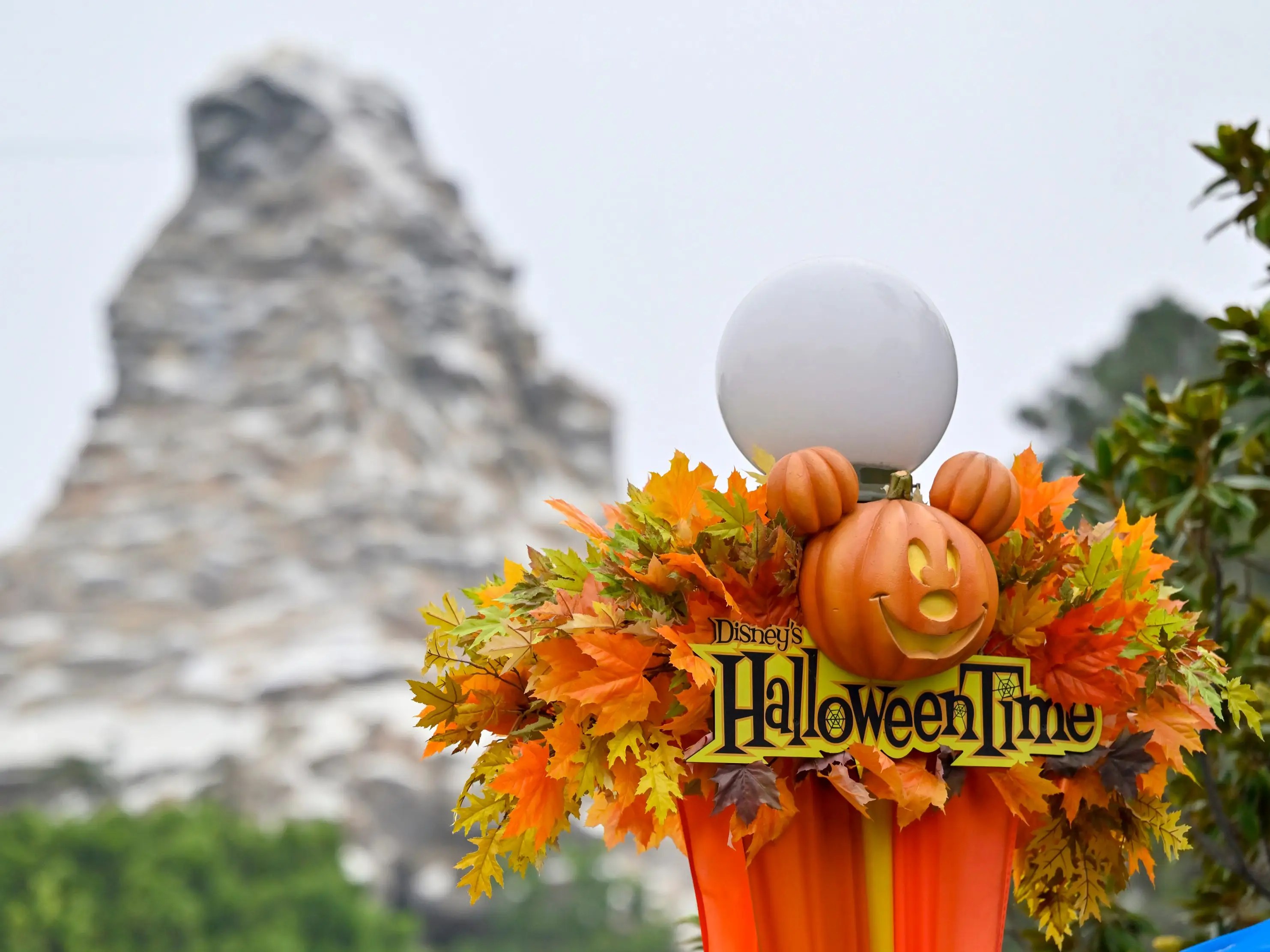 Tswiftstuff, a blog on tumblr. The Best Halloween Events In The Us