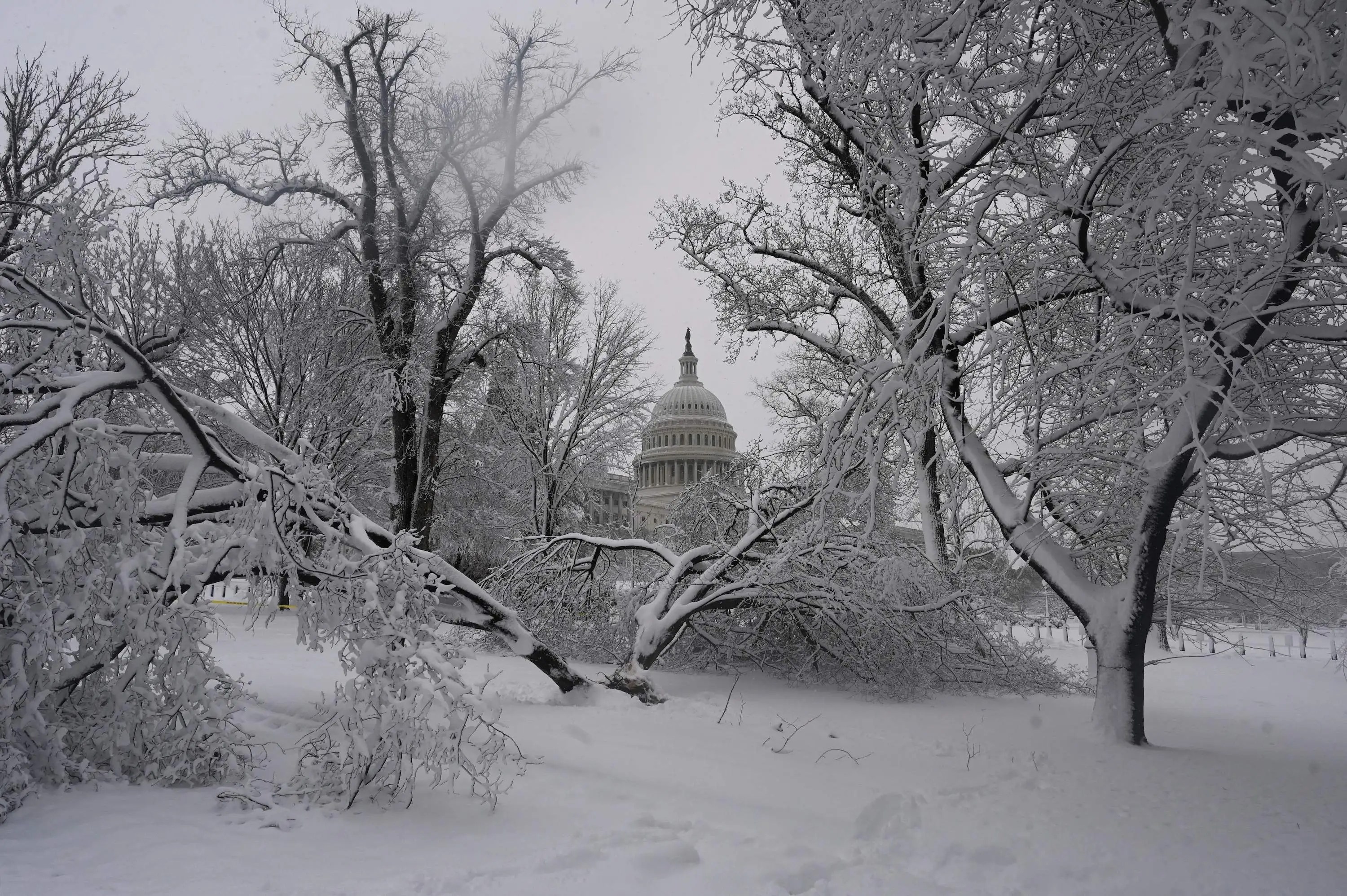 Browse 300,726 winter storm stock photos and images available, or search for texas winter storm or winter storm damage to find more great stock photos and pictures. Photos Winter Storm Kills 3 Traps Hundreds In Washington Dc