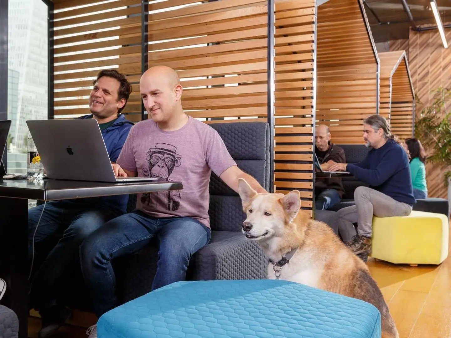 Company Culture Video Comparably - Vintage Pattern Collection - Mobile Quality