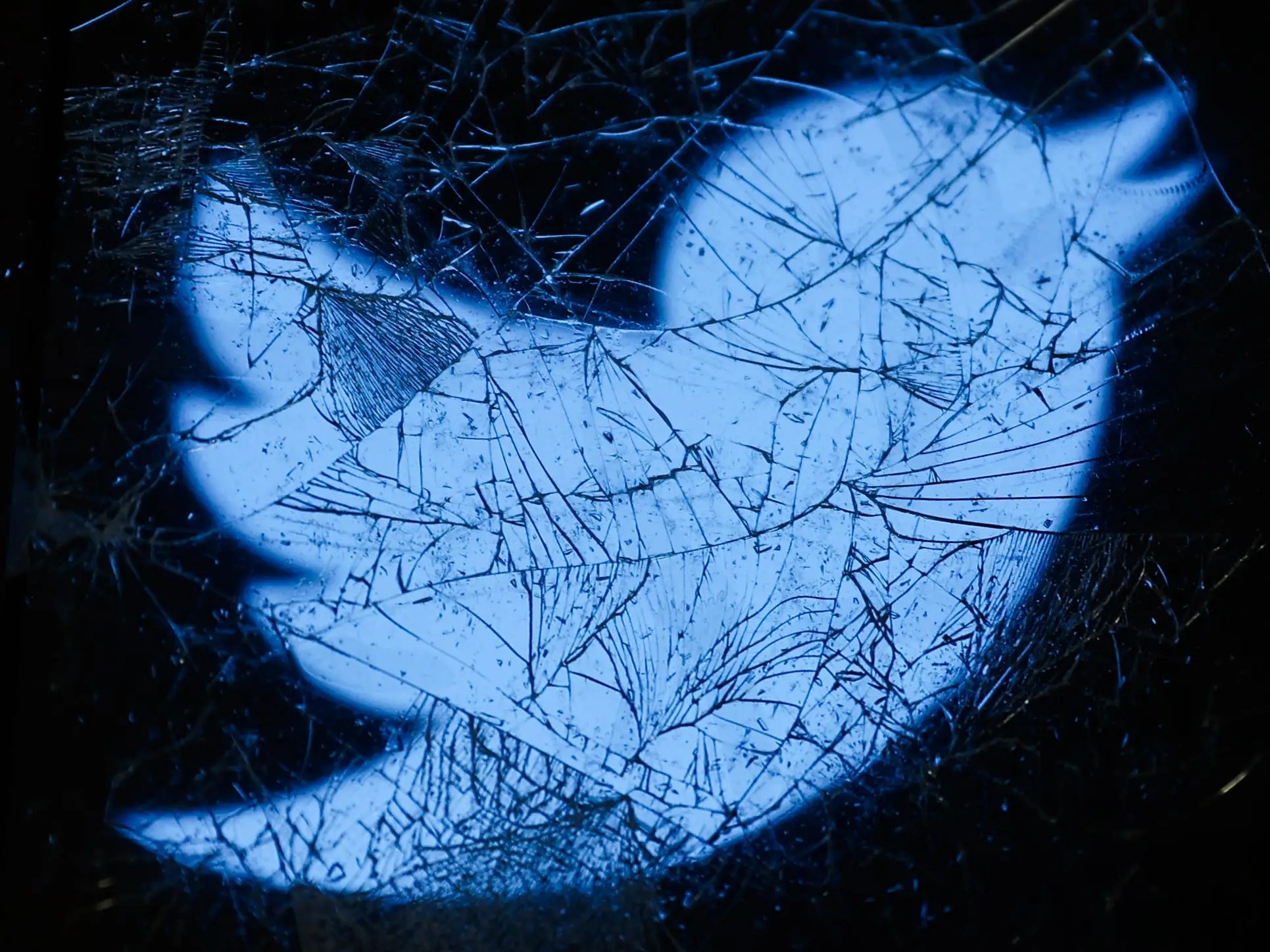 Web3 Trends Forecast 2023 Vc Edition February 27 2022 Crypto - Download Stunning Nature Pattern | HD