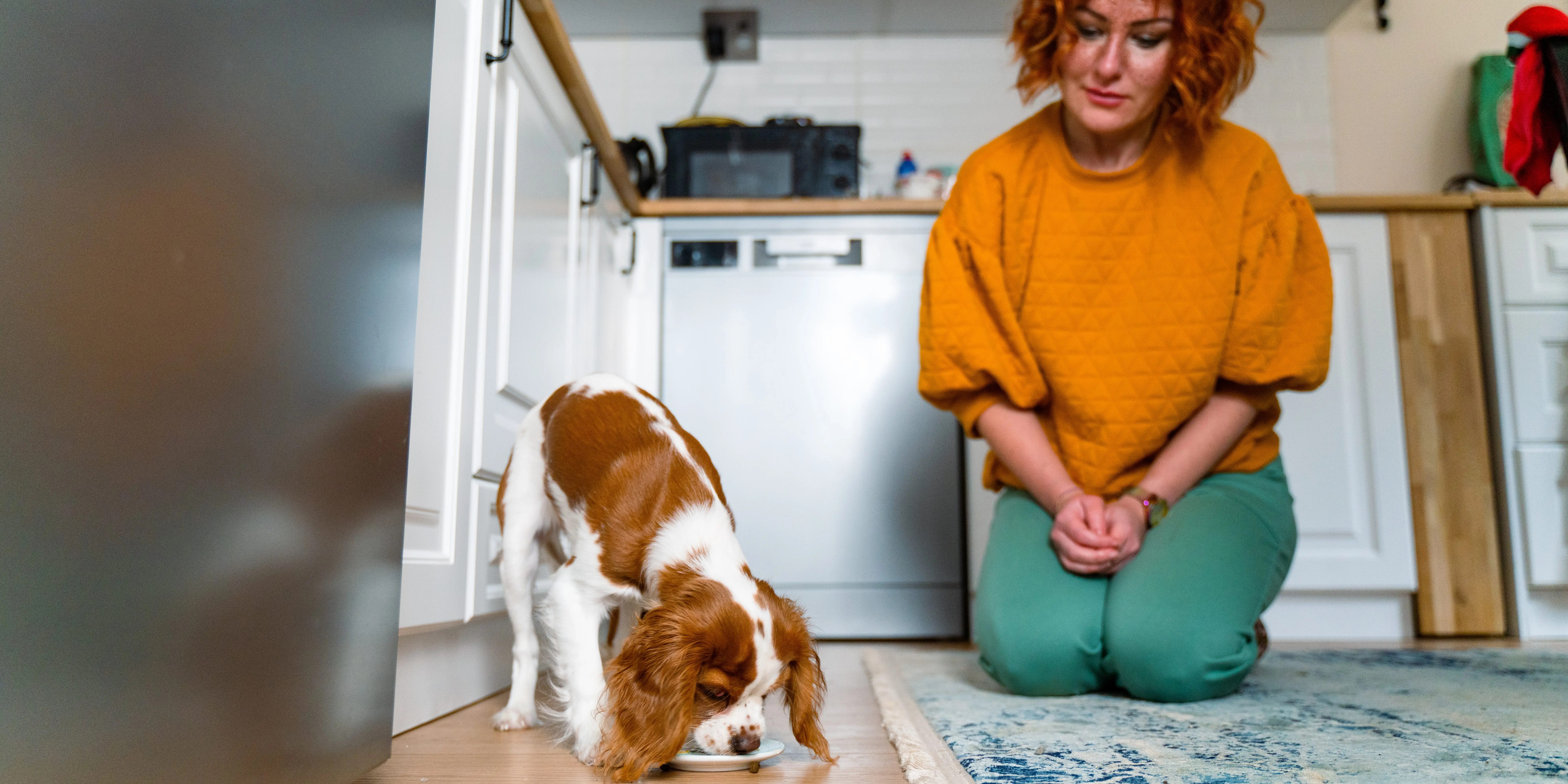 ‘Human-Grade’ Dog Food Is on the Rise As Pet Owners Ditch Kibble