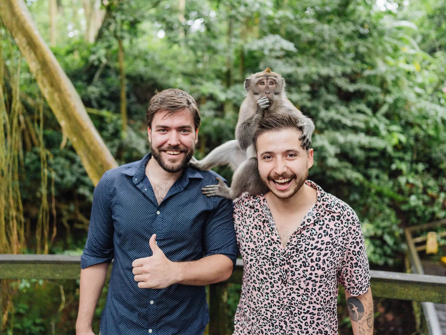 The Most Promising Generative Ai Startups Of 2023 According To Vcs - Best Mountain Wallpapers in Ultra HD