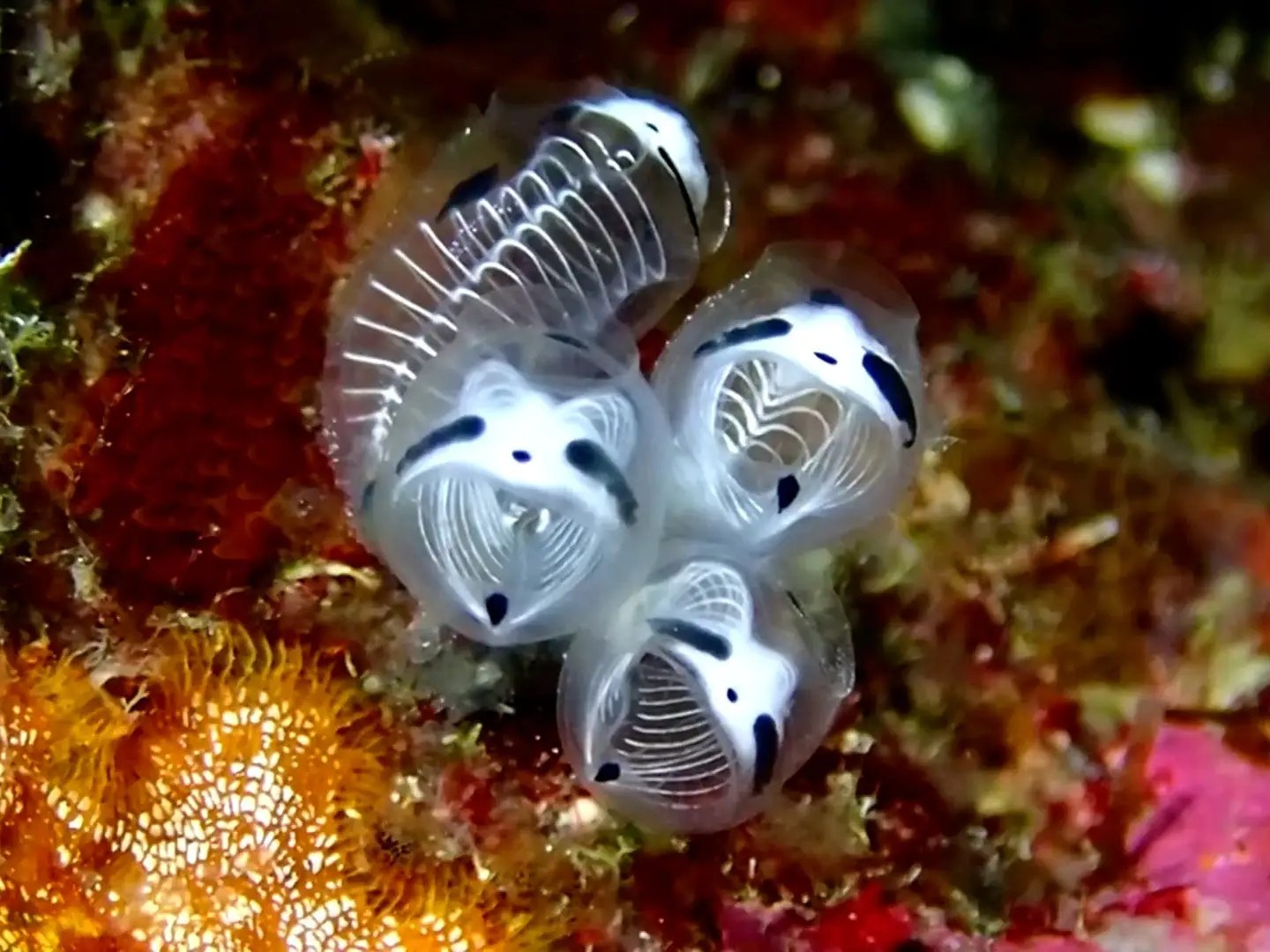 Cern Large Hadron Collider Explained Business Insider - High Resolution Geometric Photos for Desktop