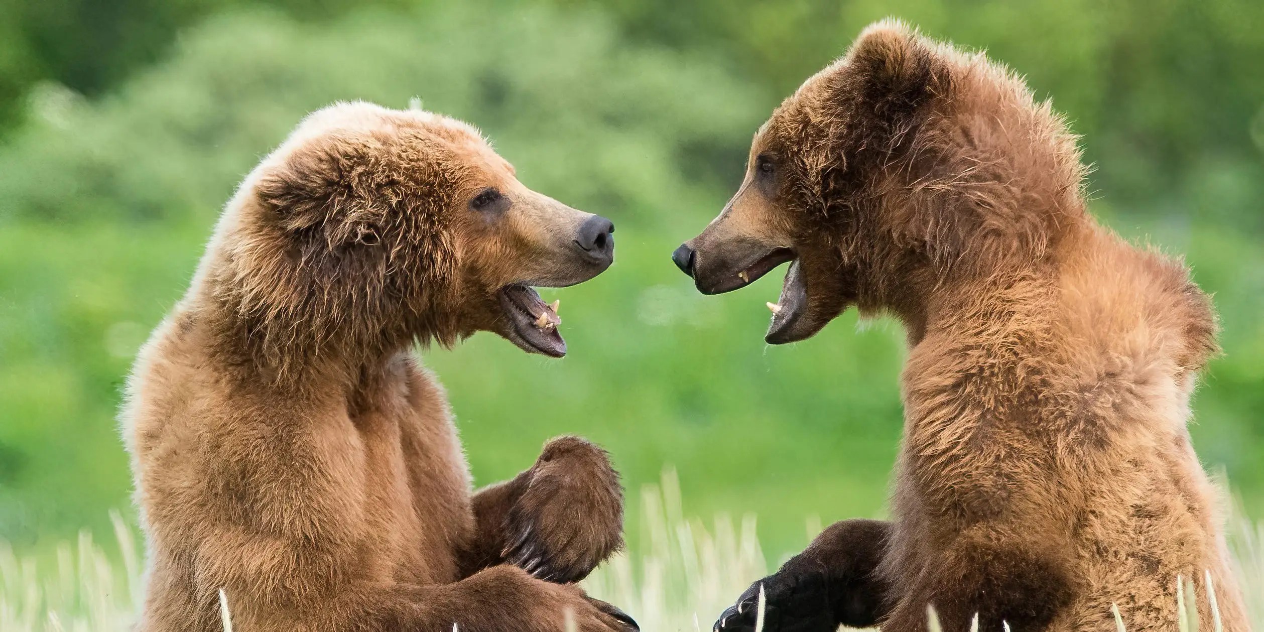 The Best Laptop Deals for March 2024: Dell, Lenovo, Asus, and More