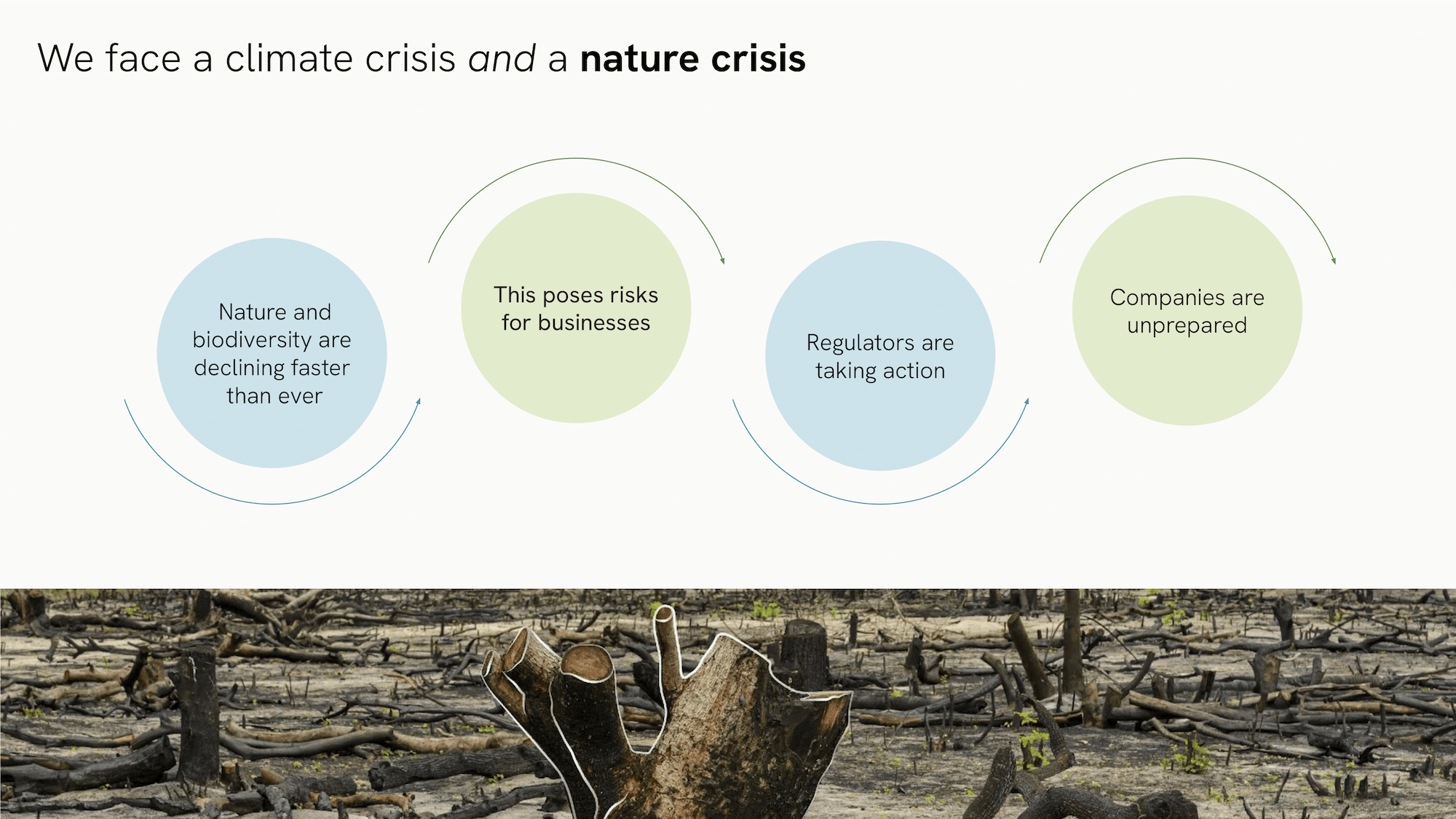 Natcap Crunchbase Company Profile Funding - Landscape Patterns - Incredible 4K Collection