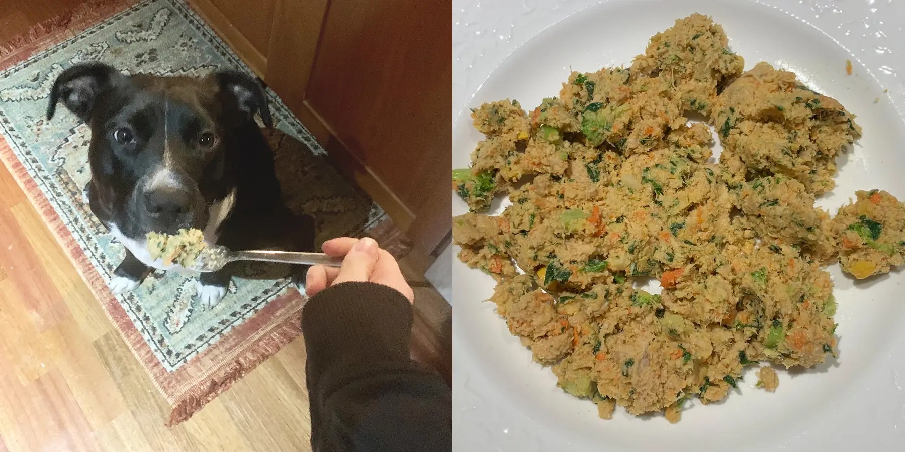 The Farmer’s Dog Review 2025