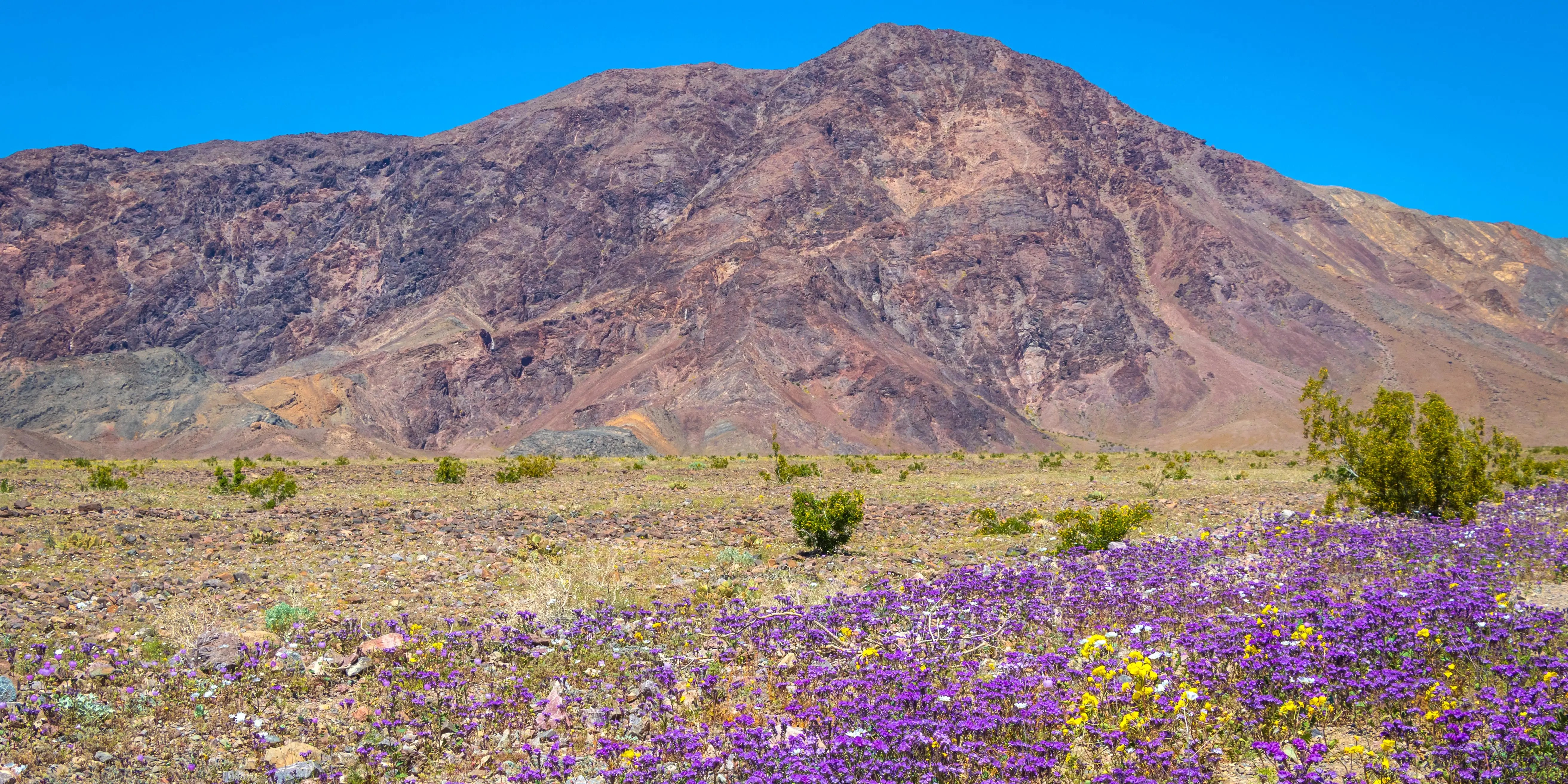 6 Best US National Parks to Visit in Spring | From Someone Who's Been to All 63 (2026)