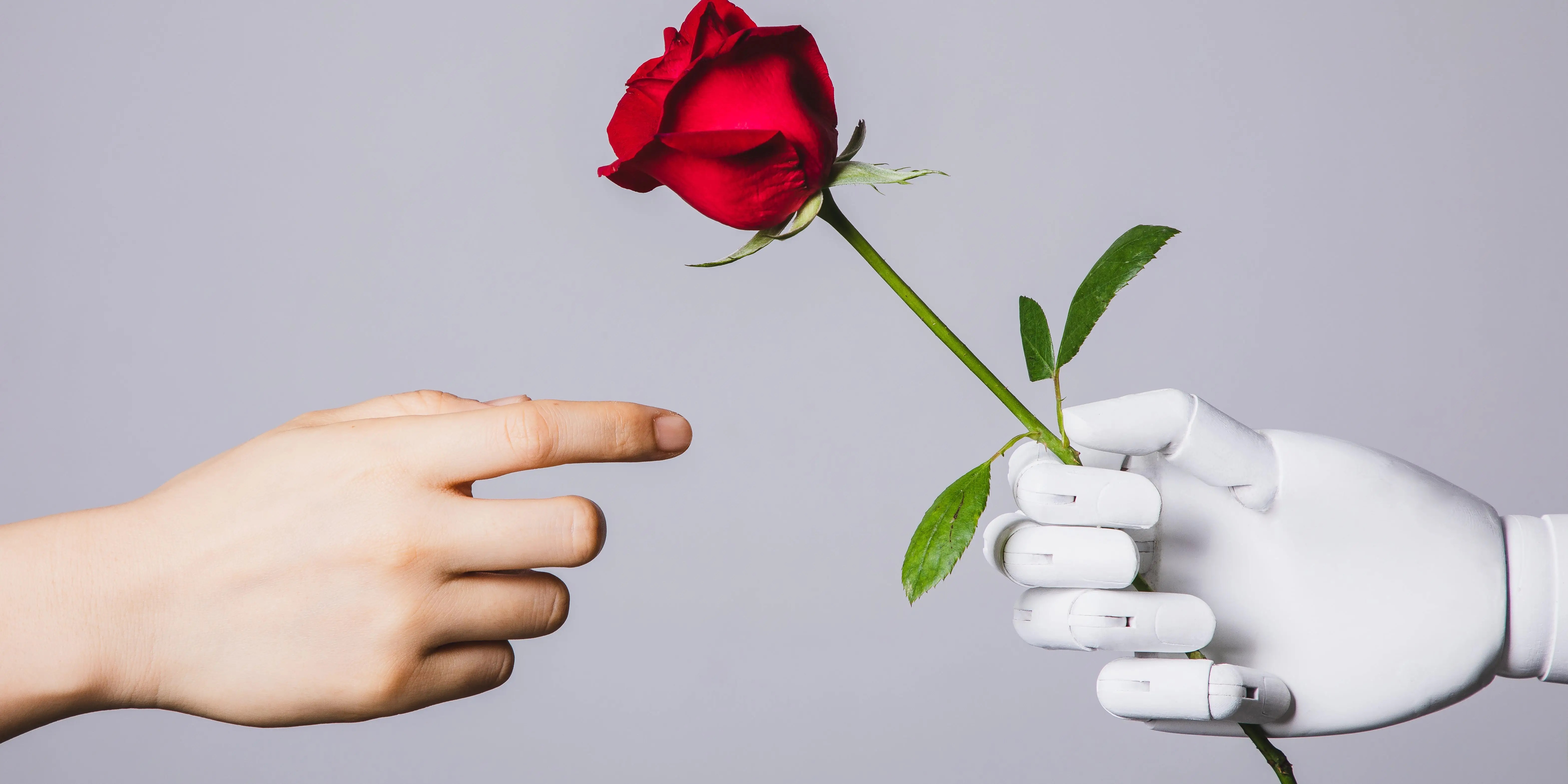 AI Revolution: Why Consulting and Startups are the Perfect Match (2026)