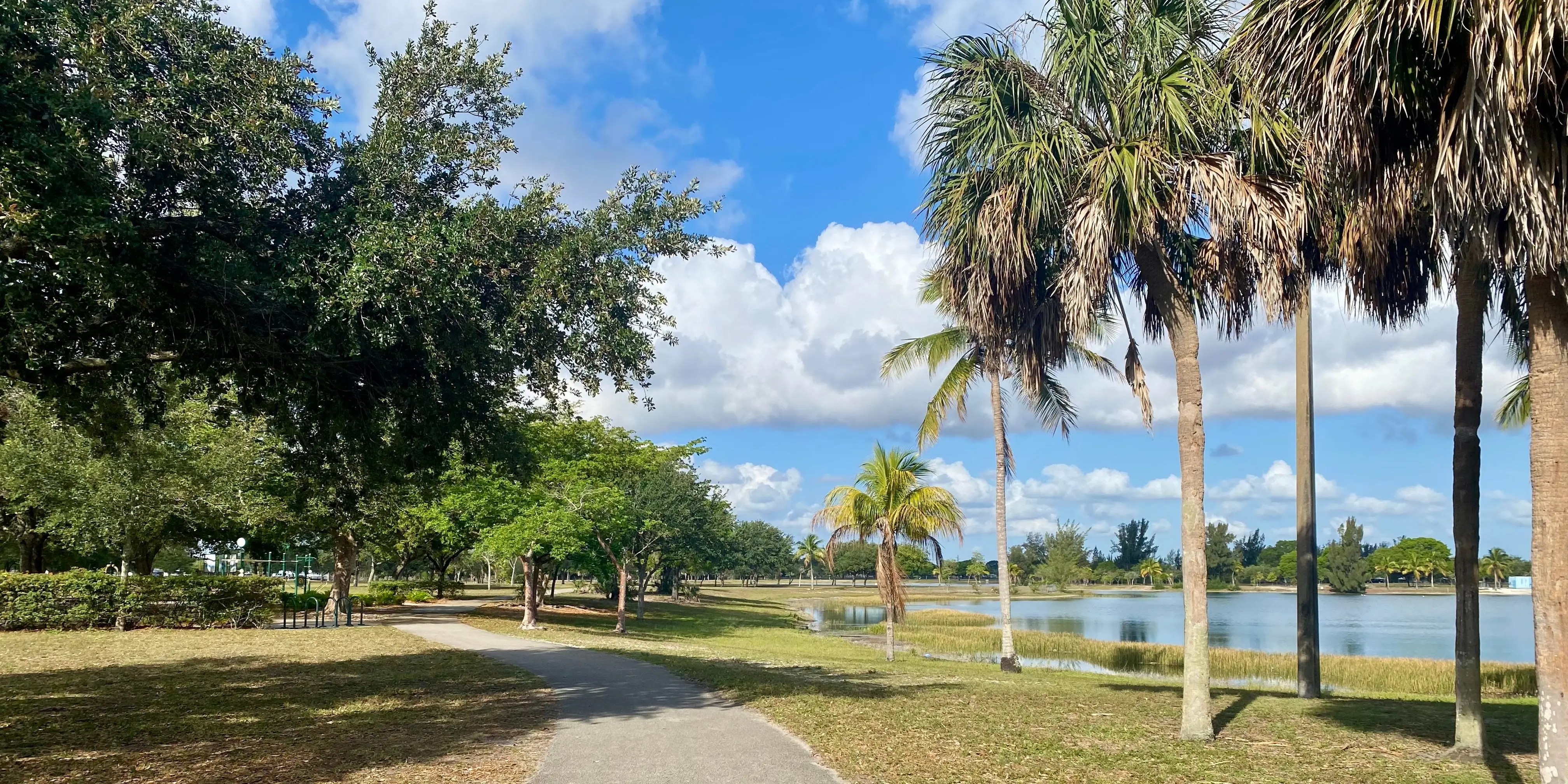 Why I Left Miami Beach After 3 Years | A Local's Perspective (2026)