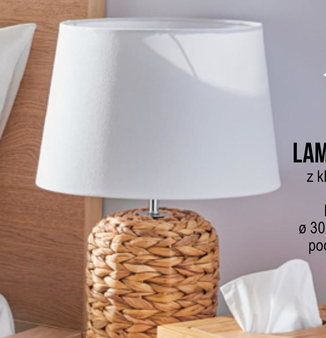 Domaca Naloga Dlesni Jamo Lampka Nocna Pepco Erinmichelledesign Com