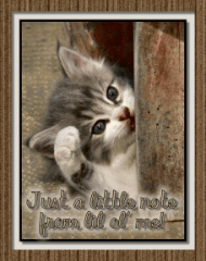 Hello! Myspace Comments