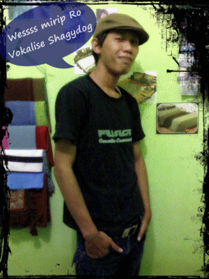 picasion.com