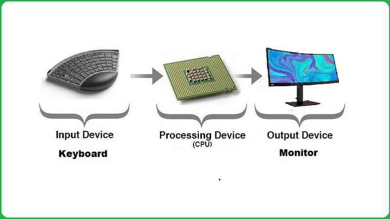 Processing Devices of Computer