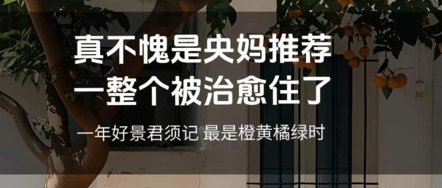 央妈推荐-2024年必读书