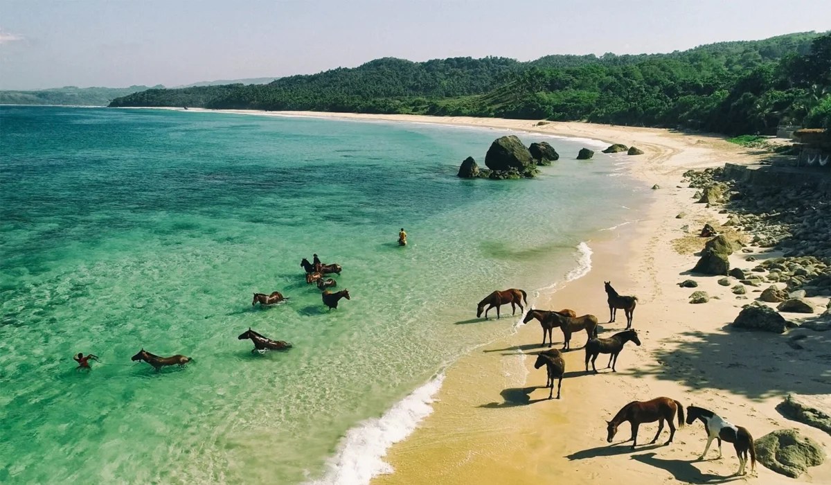 Keindahan Alam Sumba, Surga Tersembunyi di Timur Indonesia