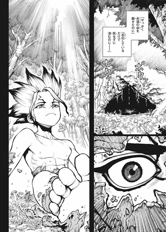 ドクターストーン Raw Free Chapter 229 コミックシーモア