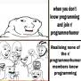 Accurate? · ProgrammerHumor.io
