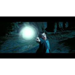 What is your harry potter blood status?