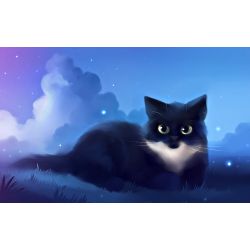 What cat breed are you?