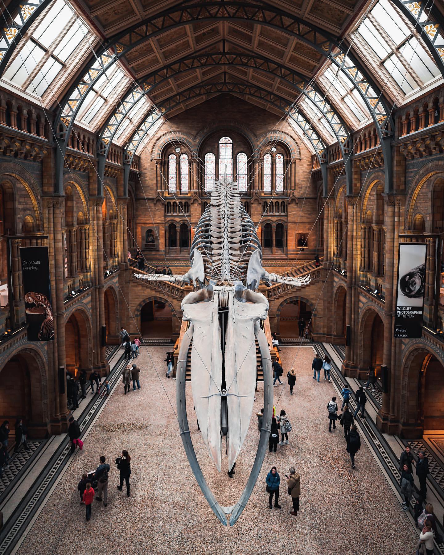 อันดับหนึ่ง 98+ ภาพ national palace museum ไต้หวัน คมชัด