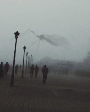 Mosquito Titan