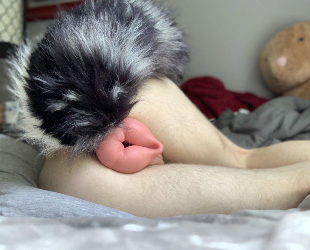 rVagception: Vagception on Reddxxx | the NSFW Browser